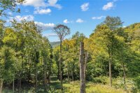 3393 El Miner Drive # 434, Mars Hill, NC 28754, MLS # 4184515 - Photo #37