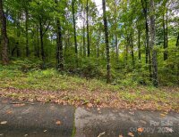 Horse Cove Road, Canton, NC 28716, MLS # 4185750 - Photo #1