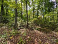 Horse Cove Road, Canton, NC 28716, MLS # 4185750 - Photo #4