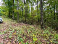 Horse Cove Road, Canton, NC 28716, MLS # 4185750 - Photo #5