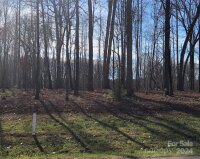 6223 Hollow Oak Drive Unit 87, Mint Hill, NC 28227, MLS # 4186274 - Photo #2