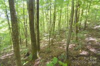 Chimney Ridge Trail # 131, Waynesville, NC 28786, MLS # 4186857 - Photo #1