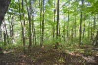 Chimney Ridge Trail # 131, Waynesville, NC 28786, MLS # 4186857 - Photo #2