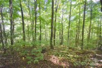 Chimney Ridge Trail # 131, Waynesville, NC 28786, MLS # 4186857 - Photo #4