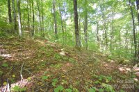 Chimney Ridge Trail # 131, Waynesville, NC 28786, MLS # 4186857 - Photo #7