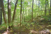 Chimney Ridge Trail # 131, Waynesville, NC 28786, MLS # 4186857 - Photo #8