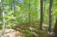 Chimney Ridge Trail # 131, Waynesville, NC 28786, MLS # 4186857 - Photo #9