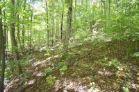 Chimney Ridge Trail # 131, Waynesville, NC 28786, MLS # 4186857 - Photo #11