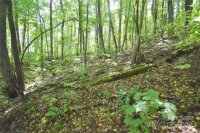 Chimney Ridge Trail # 131, Waynesville, NC 28786, MLS # 4186857 - Photo #13