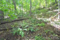 Chimney Ridge Trail # 131, Waynesville, NC 28786, MLS # 4186857 - Photo #14