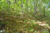 Chimney Ridge Trail # 131, Waynesville, NC 28786, MLS # 4186857 - Photo #15