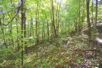 Chimney Ridge Trail # 131, Waynesville, NC 28786, MLS # 4186857 - Photo #16