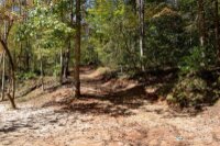 Painters Gap Road, Union Mills, NC 28167, MLS # 4186966 - Photo #3