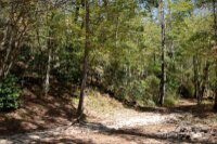 Painters Gap Road, Union Mills, NC 28167, MLS # 4186966 - Photo #4