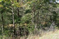 Painters Gap Road, Union Mills, NC 28167, MLS # 4186966 - Photo #11