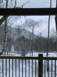 1765 Odalu Trail, Maggie Valley, NC 28751, MLS # 4187065 - Photo #15