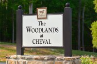 5933 Long Stirrup Lane Unit 115, Mint Hill, NC 28227, MLS # 4187195 - Photo #4