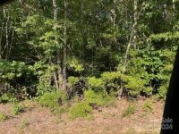 Wallace Springs Road, Statesville, NC 28677, MLS # 4187768 - Photo #3