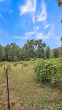 692 Hunters Ridge Road, Taylorsville, NC 28681, MLS # 4187977 - Photo #37