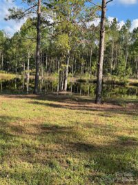 4415 N HWY 109 Highway, Wadesboro, NC 28170, MLS # 4188170 - Photo #31