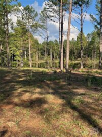 4415 N HWY 109 Highway, Wadesboro, NC 28170, MLS # 4188170 - Photo #32