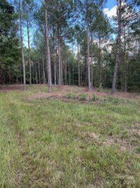 4415 N HWY 109 Highway, Wadesboro, NC 28170, MLS # 4188170 - Photo #24