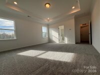 11116 Lochmere Road, Charlotte, NC 28278, MLS # 4188431 - Photo #9