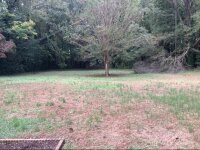 305 N Milford Drive, Salisbury, NC 28144, MLS # 4188497 - Photo #11