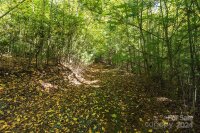 Orchard Road, Deep Gap, NC 28618, MLS # 4188813 - Photo #16