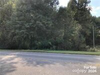 S NC Hwy 16 Business Highway, Maiden, NC 28650, MLS # 4189751 - Photo #1