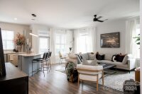 1115 S Mint Street Unit S3, Charlotte, NC 28203, MLS # 4190080 - Photo #4