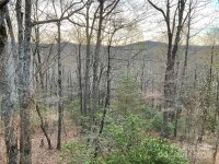 377 Kanasgowa Drive, Brevard, NC 28712, MLS # 4190763 - Photo #33