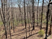 377 Kanasgowa Drive, Brevard, NC 28712, MLS # 4190763 - Photo #15