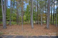 155 Binns Road, Mooresville, NC 28117, MLS # 4192176 - Photo #5