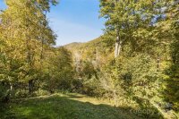 171 Irene Lane, Maggie Valley, NC 28751, MLS # 4193190 - Photo #29