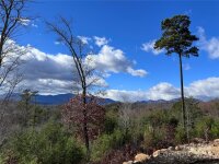 Willow Top Lane, Lake Lure, NC 28746, MLS # 4193483 - Photo #5