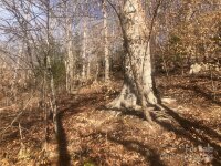 Green Gap Shores Road, Troy, NC 27371, MLS # 4193744 - Photo #7