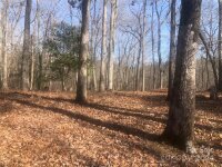 Green Gap Shores Road, Troy, NC 27371, MLS # 4193744 - Photo #8