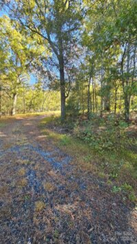 10130 Reed Mine Road, Midland, NC 28107, MLS # 4193853 - Photo #8