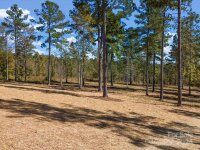 2024 Jumping Run Unit 28, Connelly Springs, NC 28612, MLS # 4193951 - Photo #3