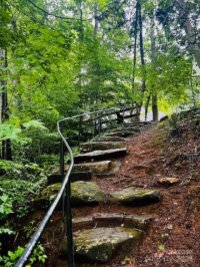 1981 Buffalo Creek Road Unit 40, Lake Lure, NC 28746, MLS # 4194456 - Photo #3