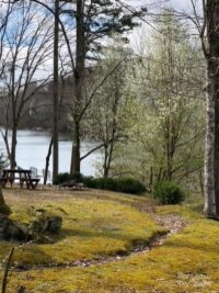 1981 Buffalo Creek Road Unit 40, Lake Lure, NC 28746, MLS # 4194456 - Photo #16