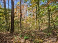 Thermal City Road, Union Mills, NC 28167, MLS # 4194751 - Photo #30