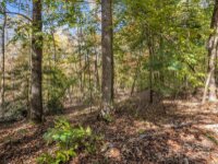 Thermal City Road, Union Mills, NC 28167, MLS # 4194751 - Photo #38