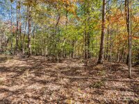 Thermal City Road, Union Mills, NC 28167, MLS # 4194751 - Photo #39