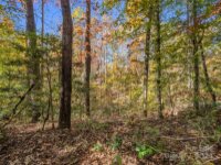 Thermal City Road, Union Mills, NC 28167, MLS # 4194751 - Photo #40