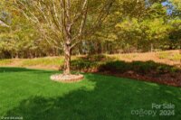 428 Presidio Drive, Rock Hill, SC 29732, MLS # 4195015 - Photo #36