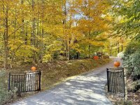 1786 Serenity Mountain Road, Waynesville, NC 28786, MLS # 4195138 - Photo #44