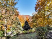 1786 Serenity Mountain Road, Waynesville, NC 28786, MLS # 4195138 - Photo #46