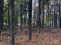 2438 Salute Boulevard Unit 45, Mint Hill, NC 28227, MLS # 4195330 - Photo #4